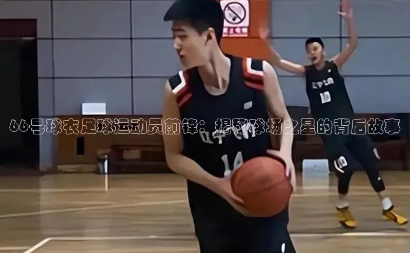 意昂2代理中文在线