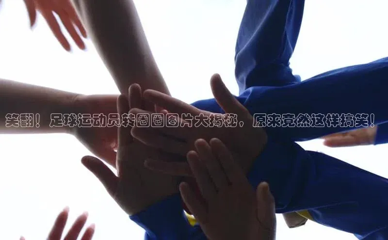 意昂2百度翻译App