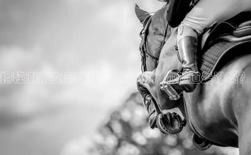 意昂体育2百度识图