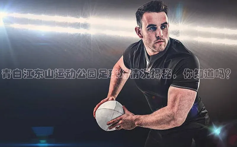 意昂2代理中文在线