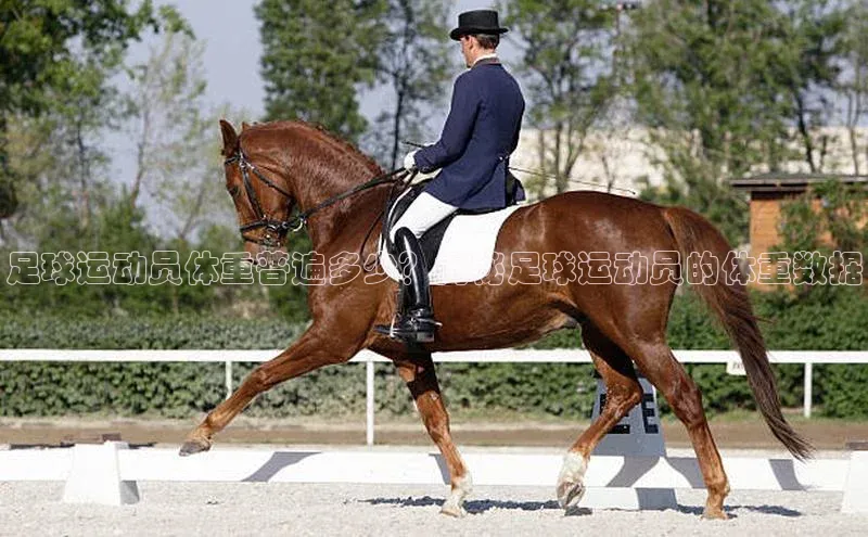 意昂2官网百度游戏开放平台