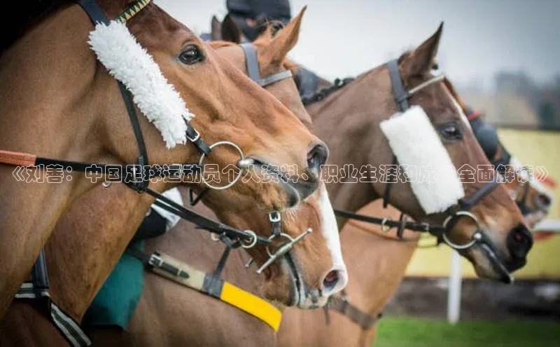 意昂2官方网站携程