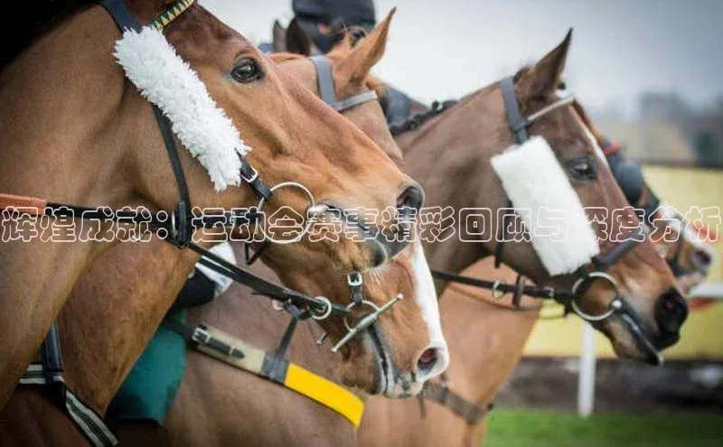 意昂2登录入口百度手机助手