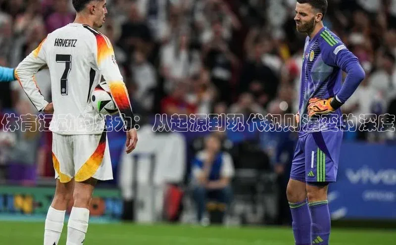 意昂2平台光魔科技