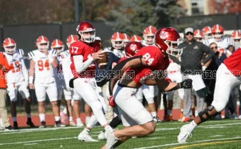 意昂官网登录入口